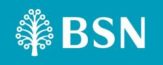 BSN-New-Logo